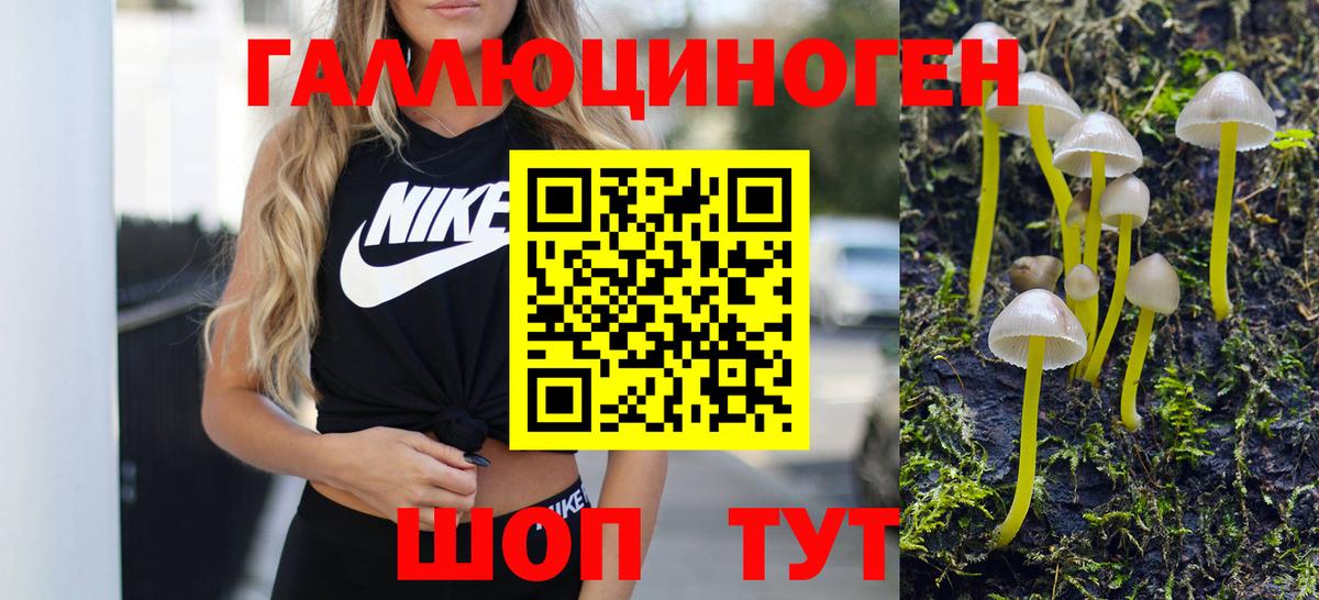 Галлюциногенные грибы Psilocybe Славянск-на-Кубани