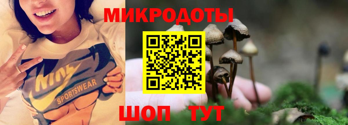 Псилоцибиновые грибы Psilocybe  Вход с VPN  Славянск-на-Кубани 